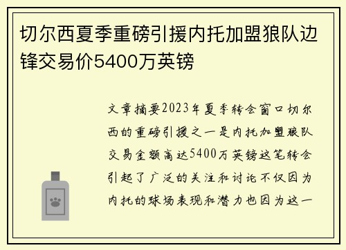 切尔西夏季重磅引援内托加盟狼队边锋交易价5400万英镑